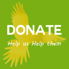 Donate Product Button