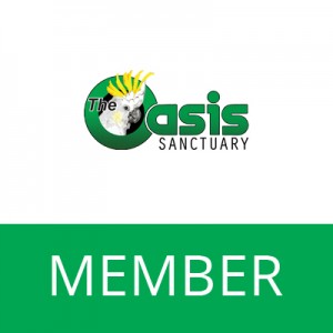 African Grey Membership Level