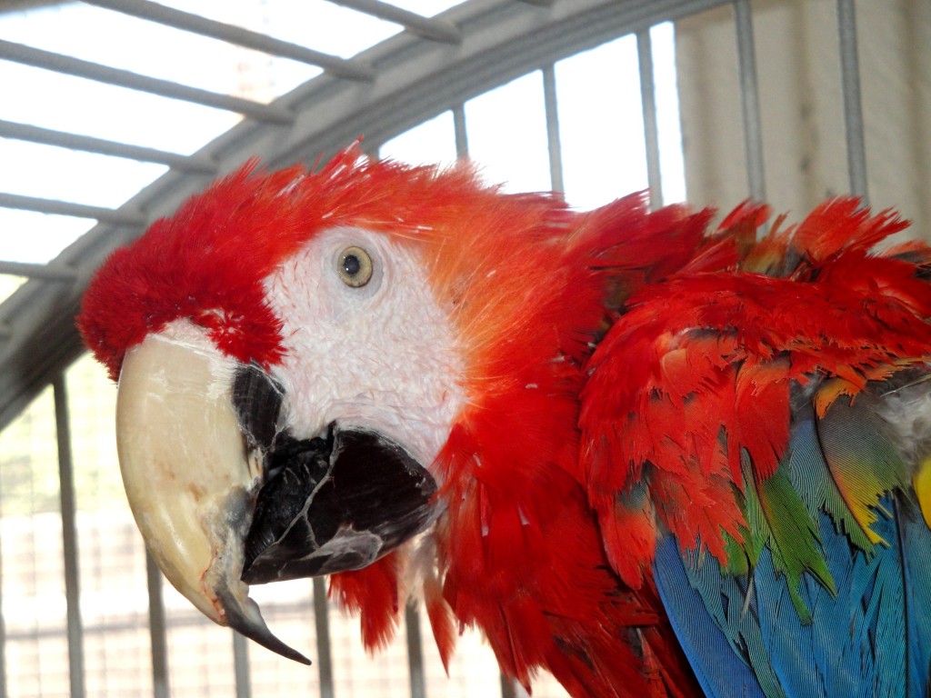 Phillipe3_lateInLife