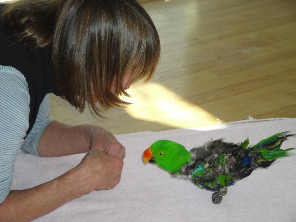 Pong_Yoch_Rehab 2010Feb