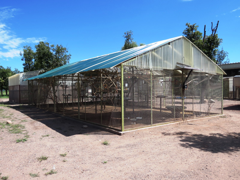 2 Small Bird Aviary3