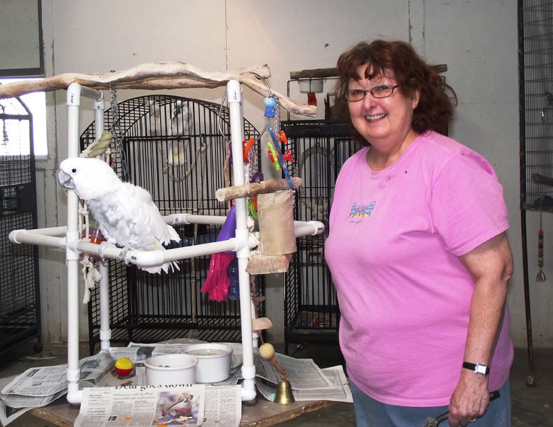 My Volunteer Visit To The Oasis Sanctuary