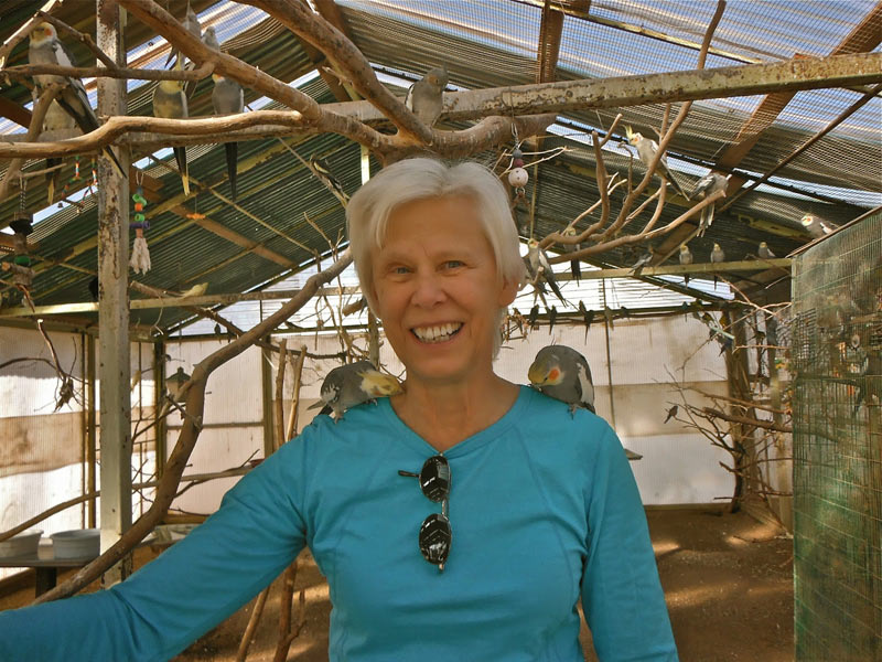 Volunteering At The Oasis Sanctuary – Somewhere Near Benson, Arizona