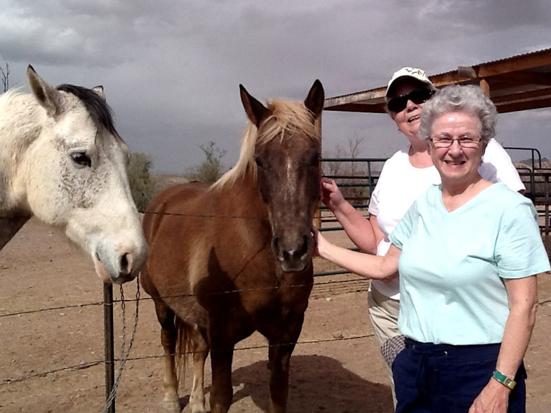 “Dreams Really Do Come True!”