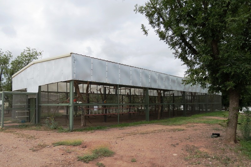 Macaw-Aviary