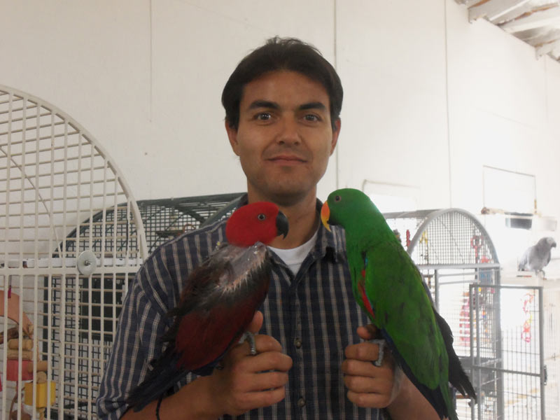 My Birds’ Forever Home