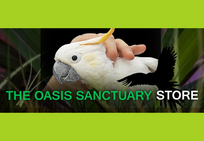 Oasis Cafepress News