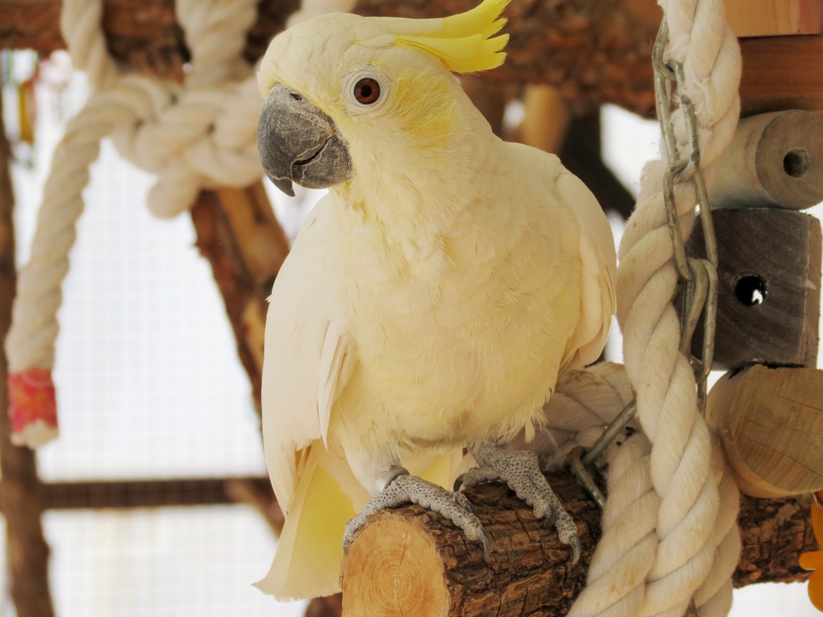 Sunny’s Journey To The End Of The Rainbow