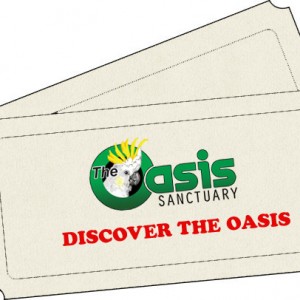 Discover The Oasis 2016