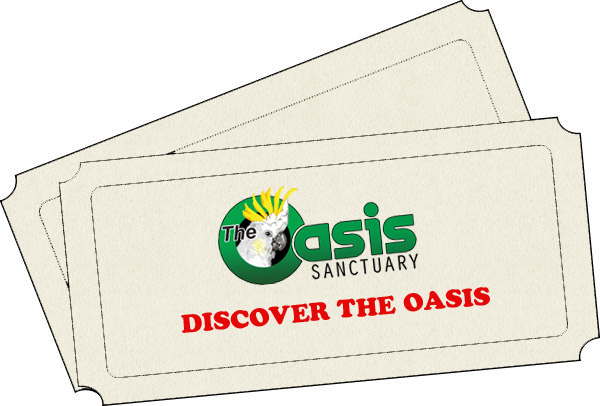 2016 Discover The Oasis