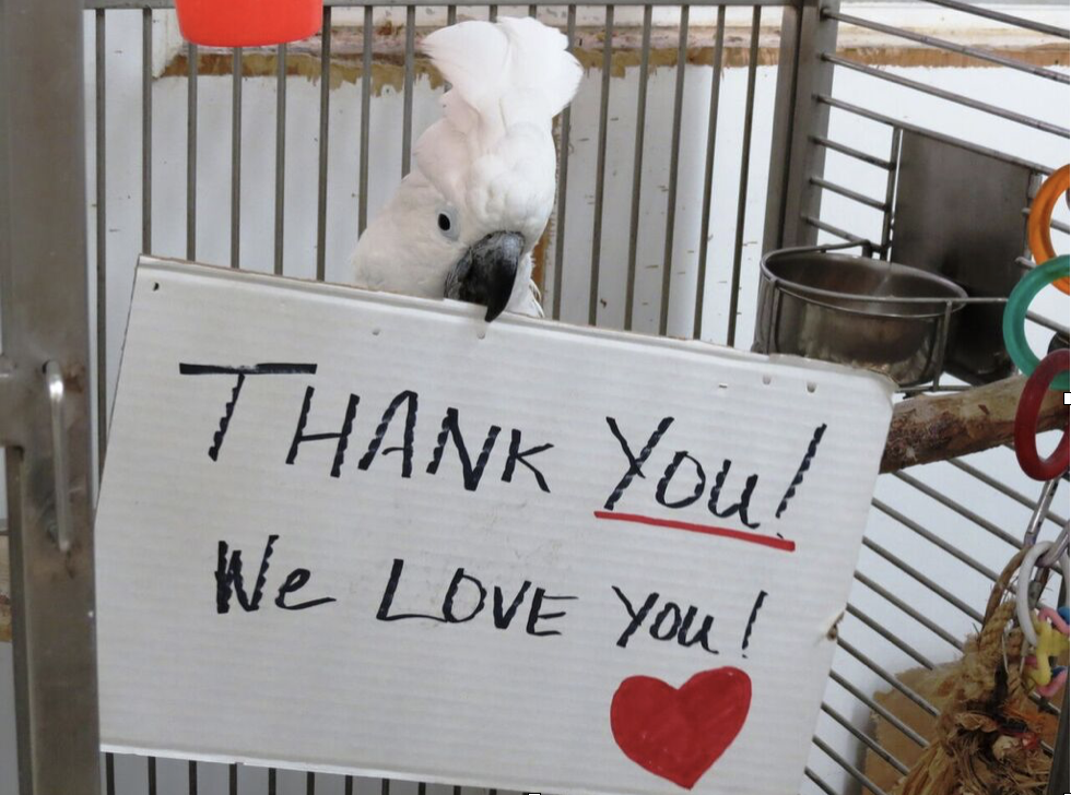 Screen Shot 2016 12 26 At 4 55 37 Pm