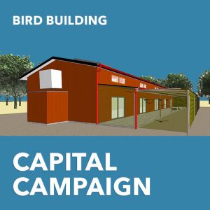 Bird Building Envelope (sq Ft)