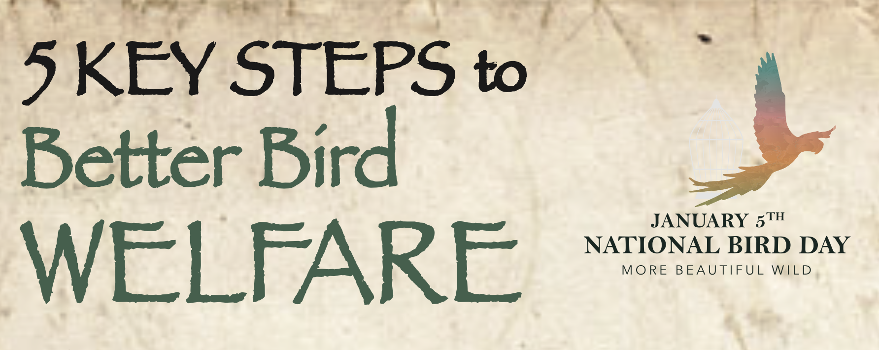 Screen Shot 2018 01 06 At 1.36.31 AM